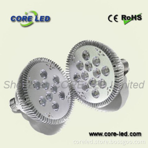 Good price and hot-selling 12W Par38 light